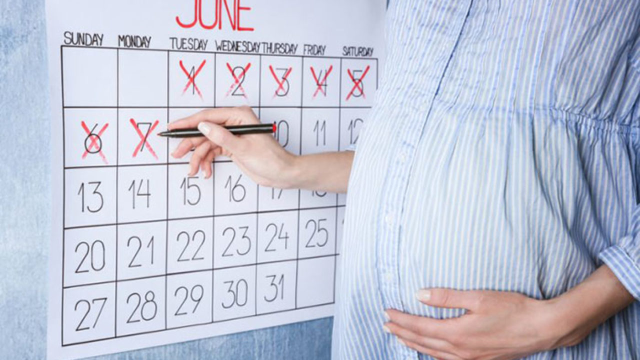 posibilidad cristal llamada Calculadora de meses y semanas de embarazo | Conversor de semanas