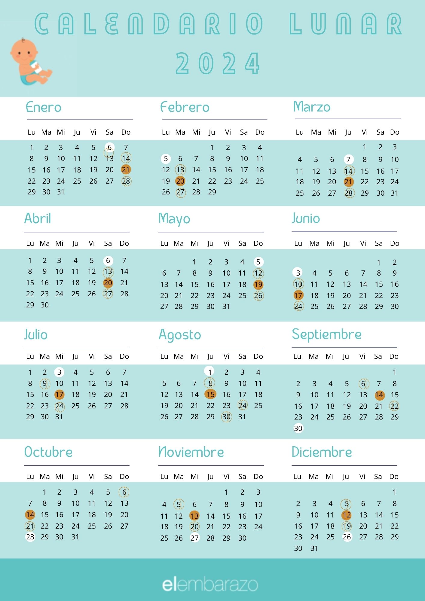 Calendario lunar del embarazo 2024 Calculadoras de embarazo